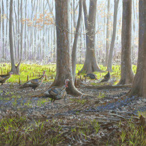 Bottomland Gobblers