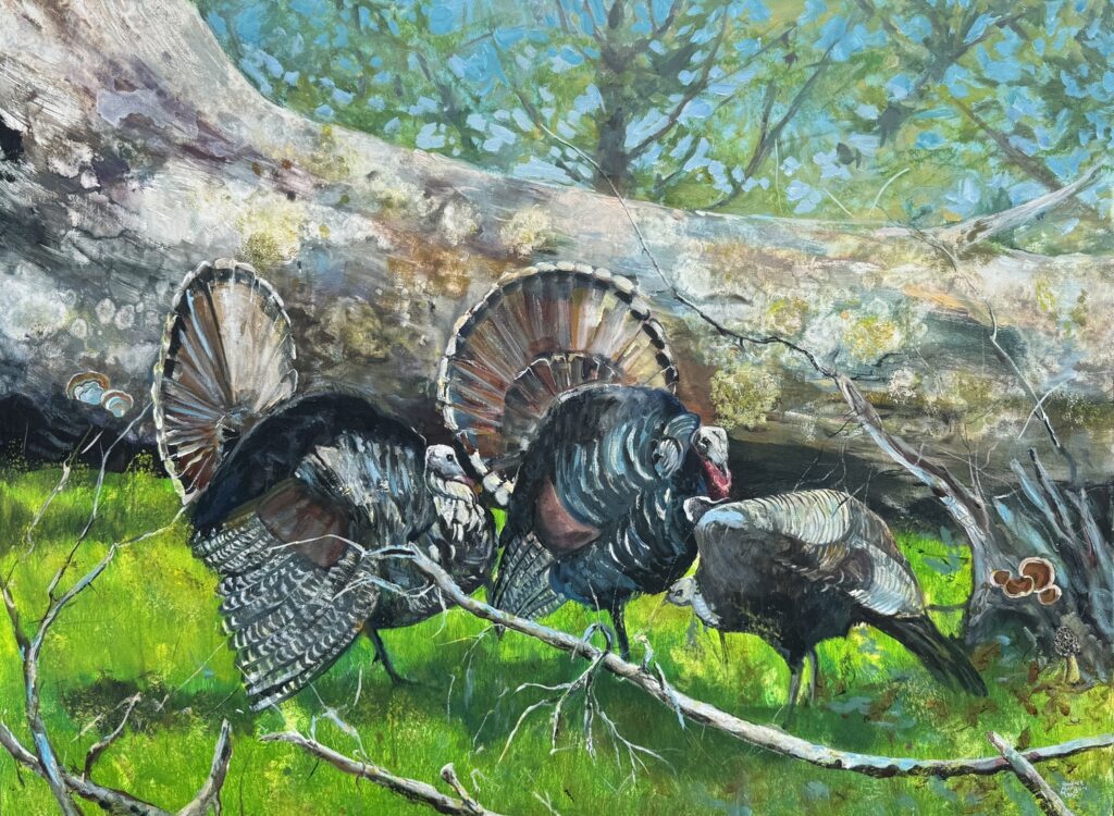 Turkeys Doing Their Thing