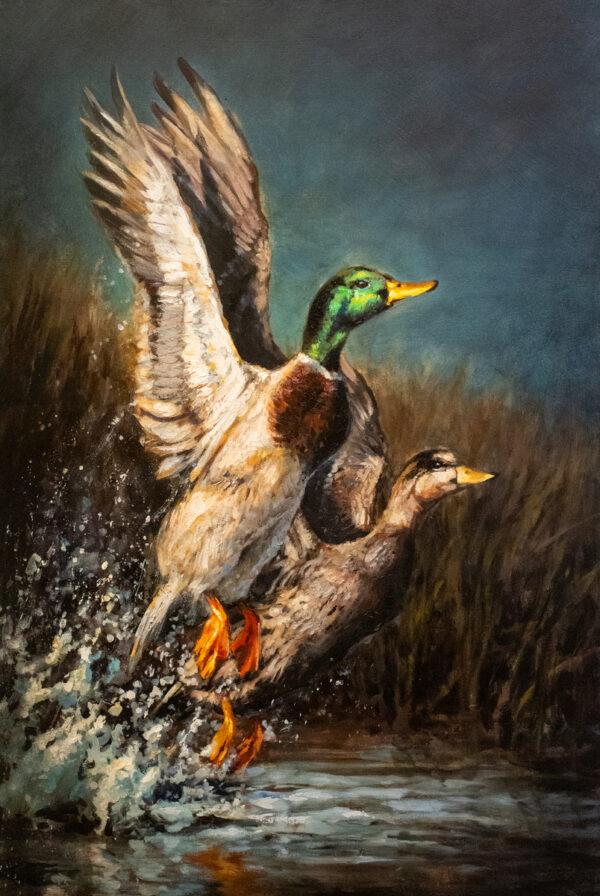 Flyway Royalty