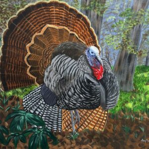Tom Turkey