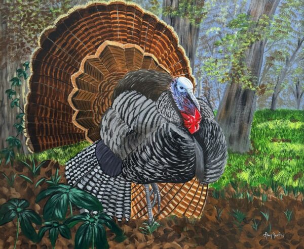 Tom Turkey