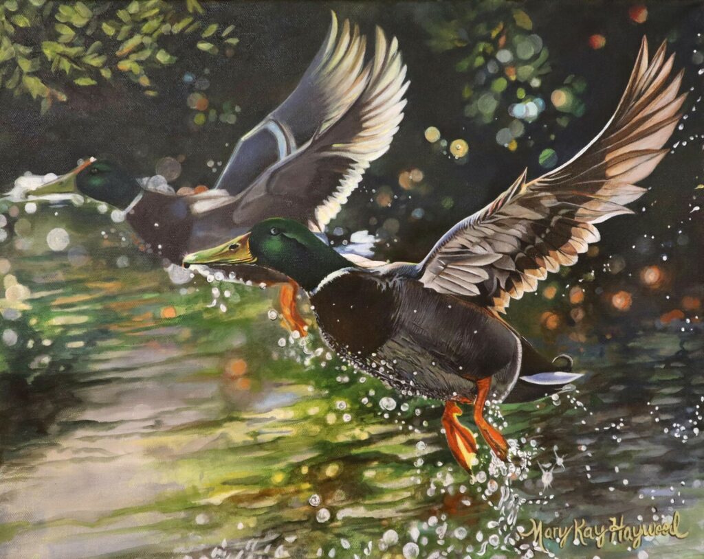 Ballard’s Mallards