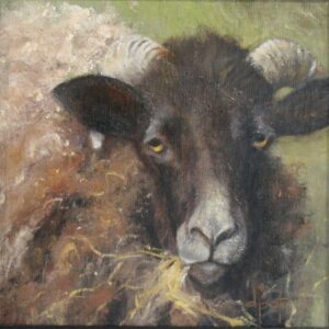 Young Ram