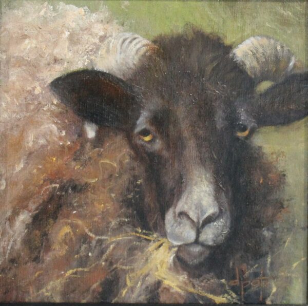 Young Ram