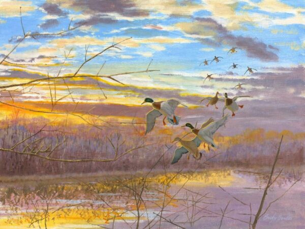 Secluded Pond Mallards