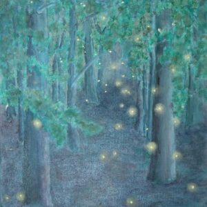 Enchanted Woods