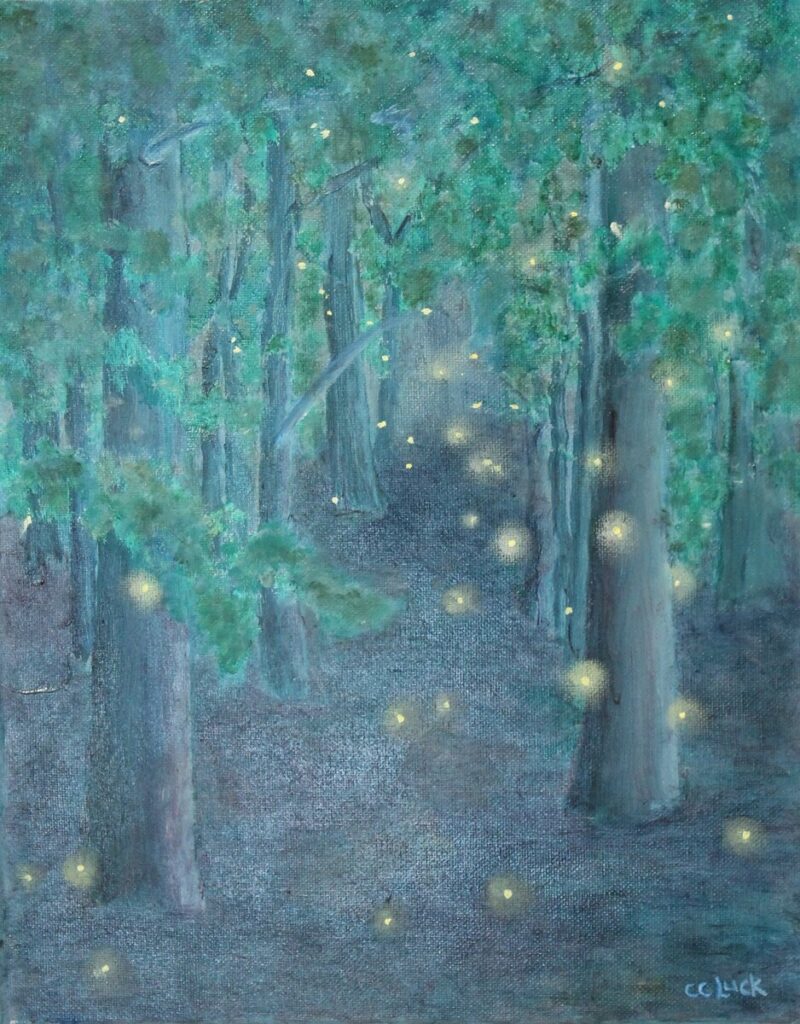 Enchanted Woods