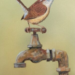Rusty Wren