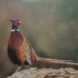 Pheasant