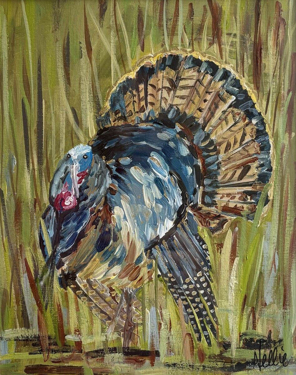 Tom Turkey - The Kelly