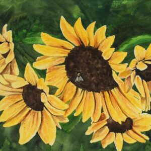 Sunflowers