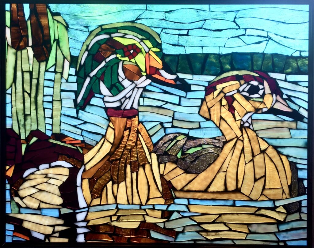 Wood Ducks on Glassy Water