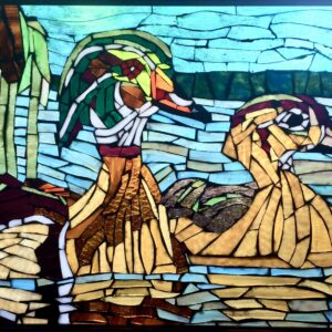 Wood Ducks on Glassy Water