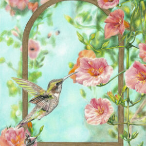 Hummingbird & Creeping Trumpet