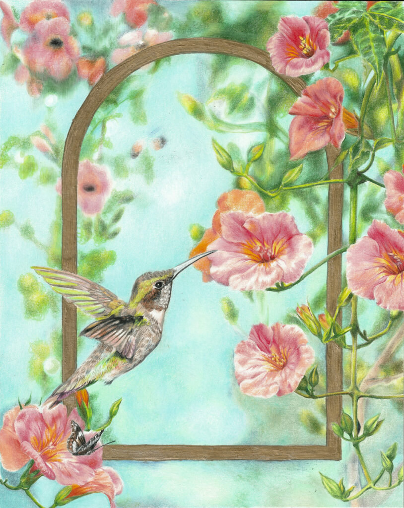 Hummingbird & Creeping Trumpet