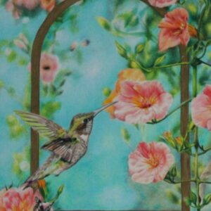 Hummingbird & Creeping Trumpet