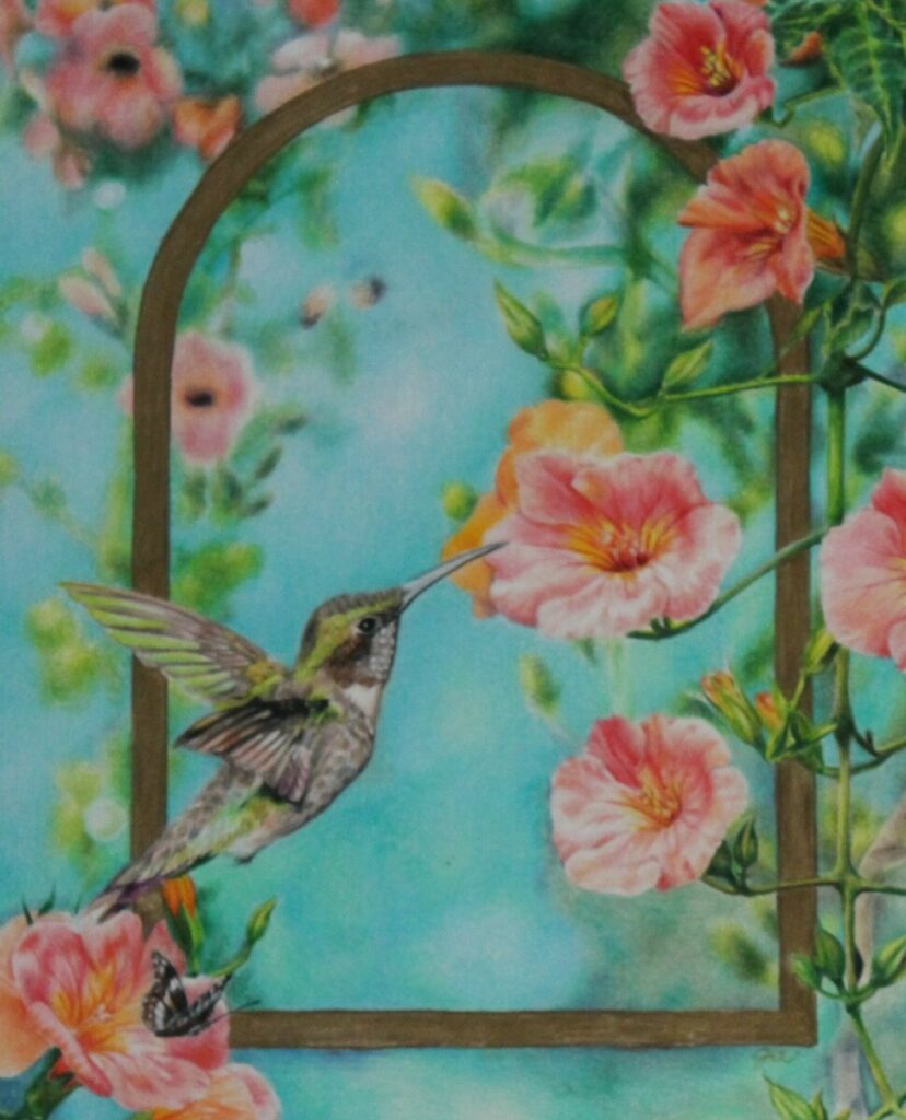 Hummingbird & Creeping Trumpet