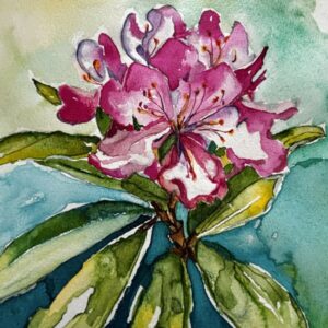 Rilla's Rhododendron