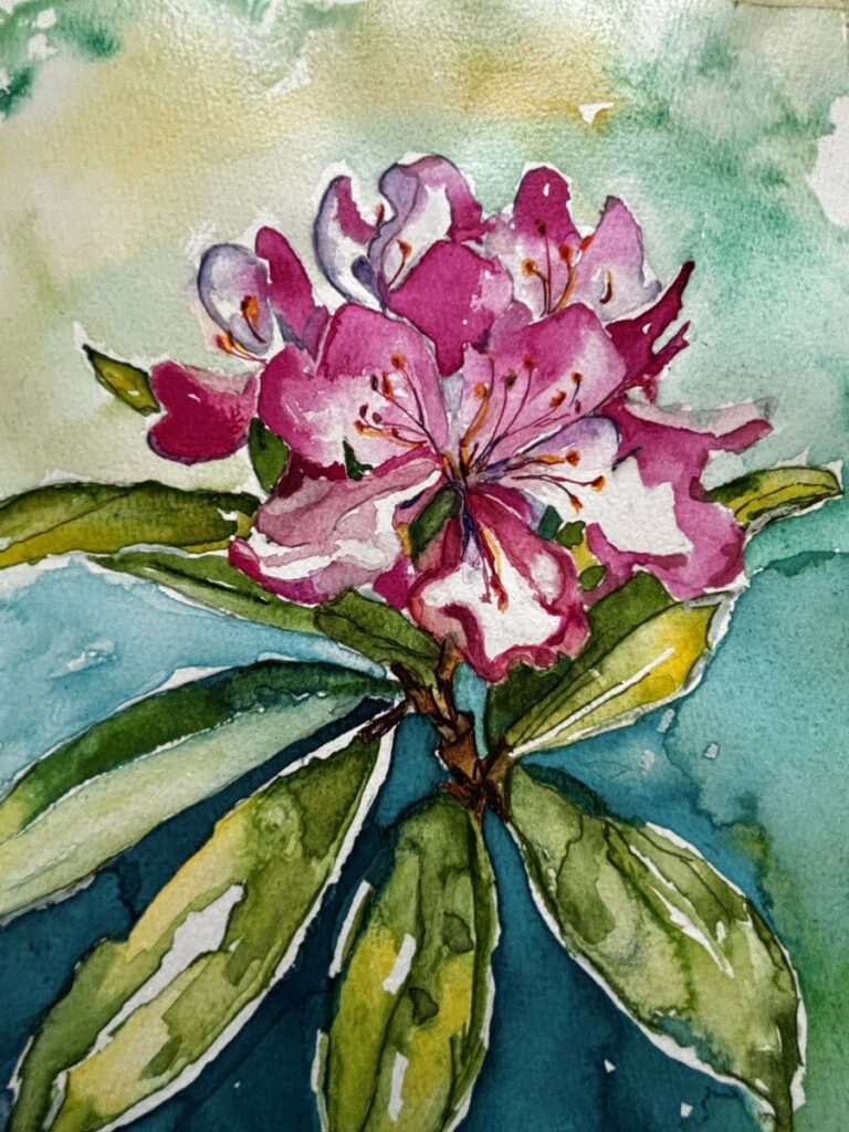 Rilla’s Rhododendron