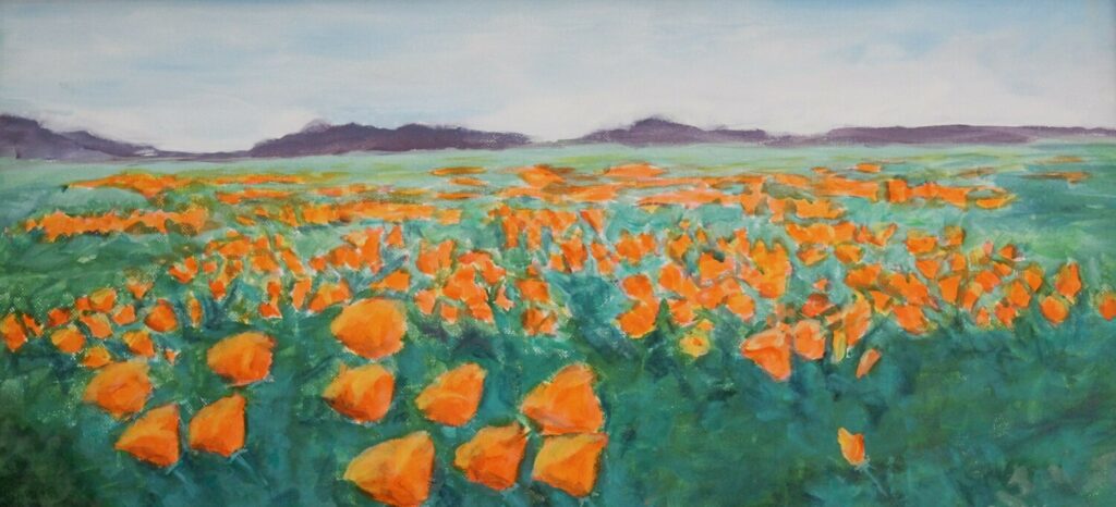 Icelandic Poppies