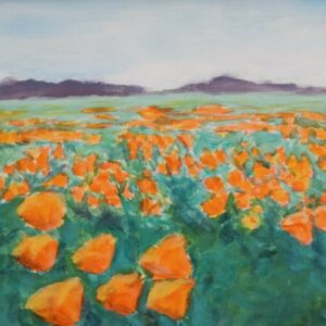 Icelandic Poppies
