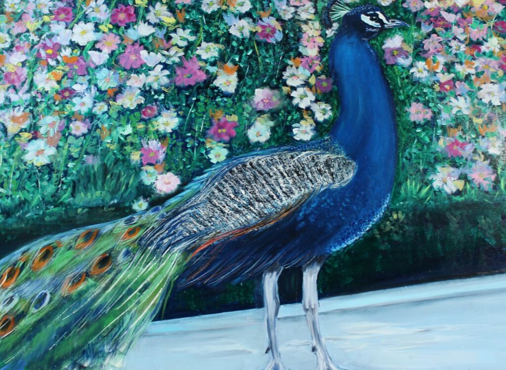 Peacock in the Garden