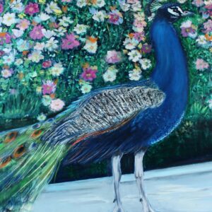 Peacock in the Garden