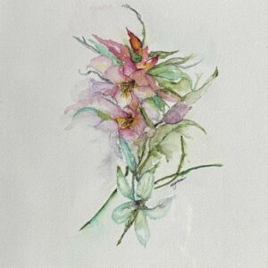 Summer Lilies in Alabama