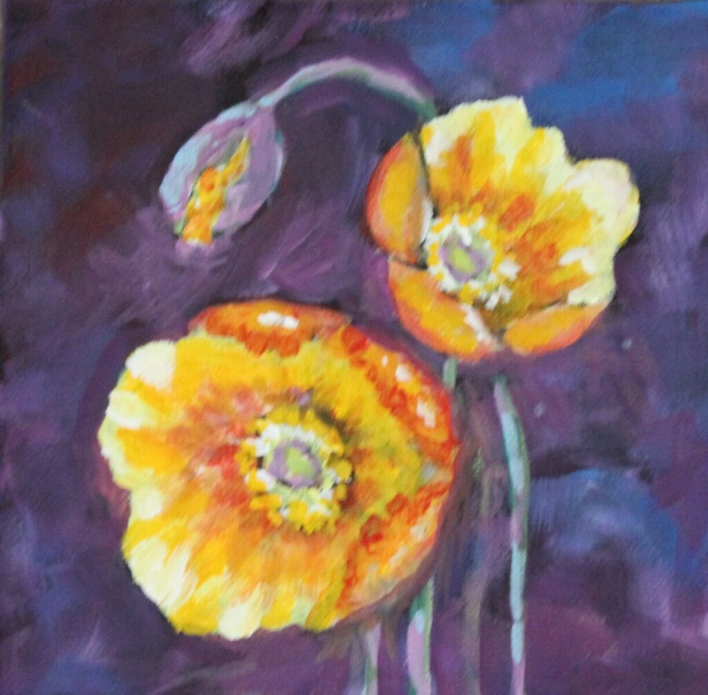 California Poppies