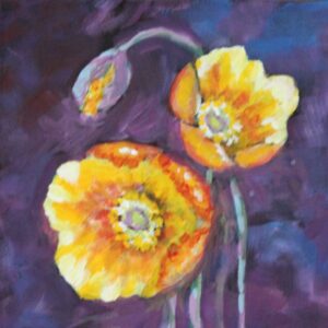 California Poppies