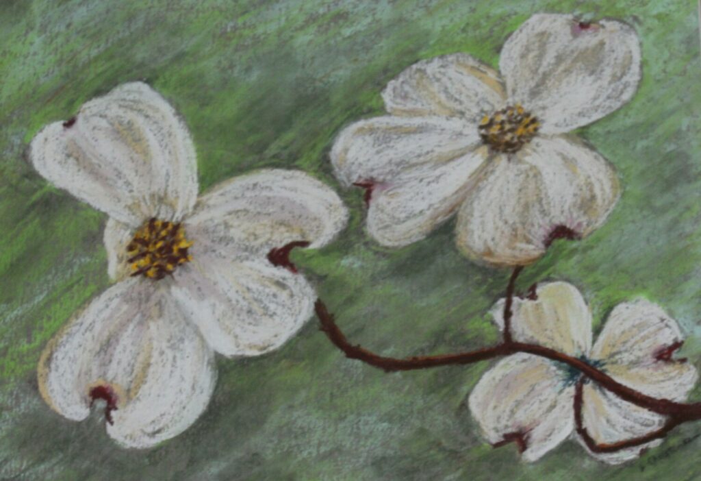 A Whiter Shade of Pale