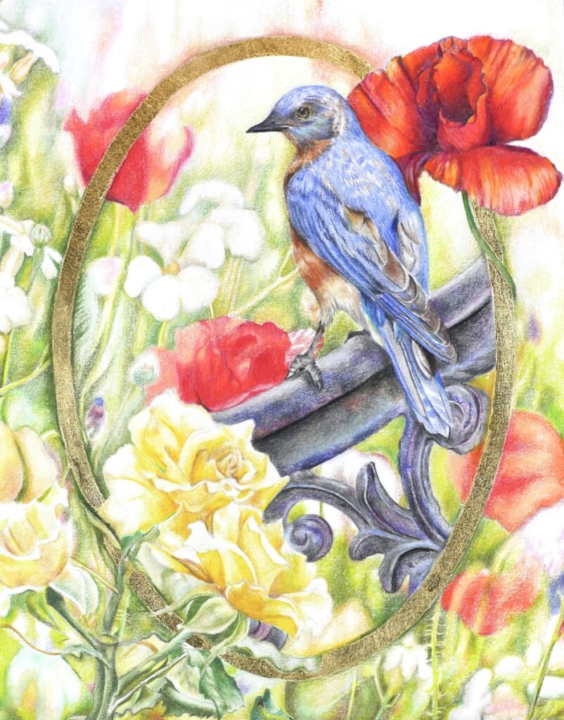 Eastern Bluebird & Poppies