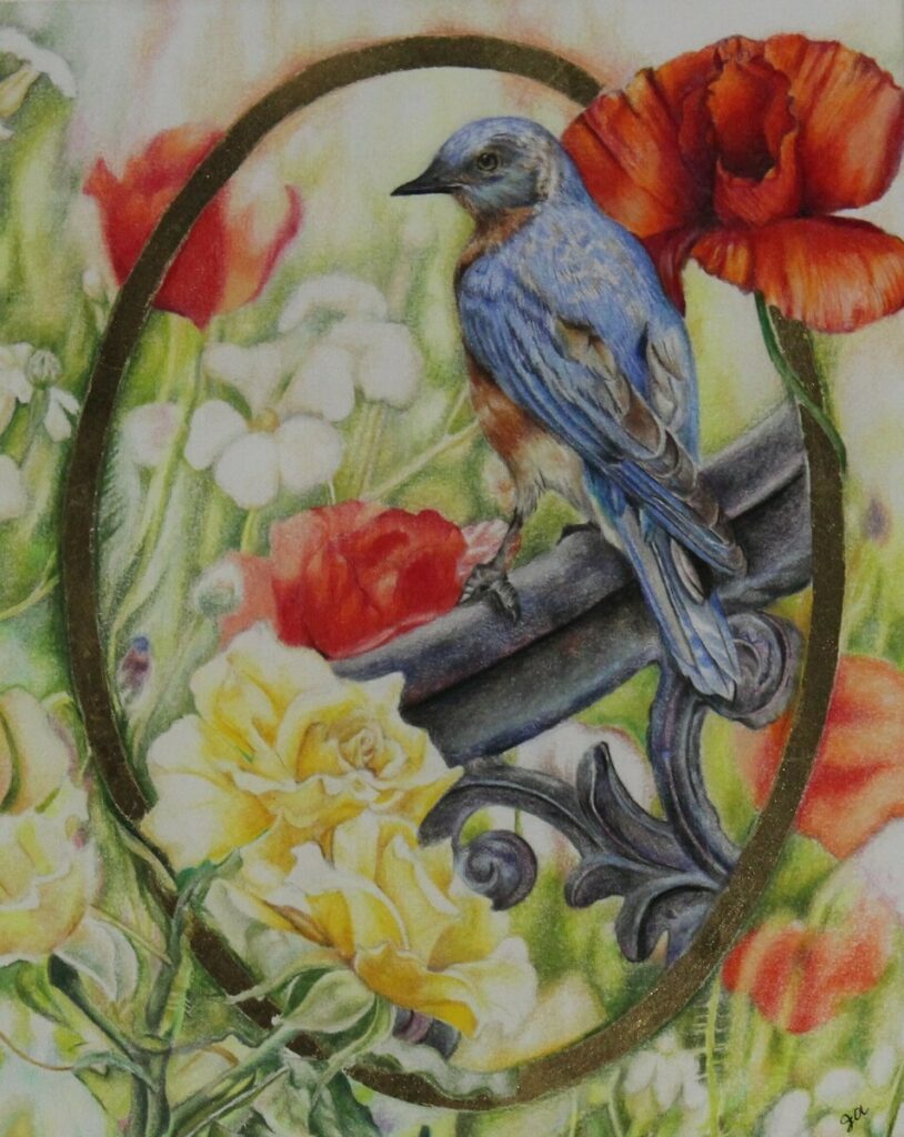 Eastern Bluebird & Poppies