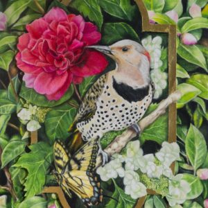 Northern Flicker & Camellia