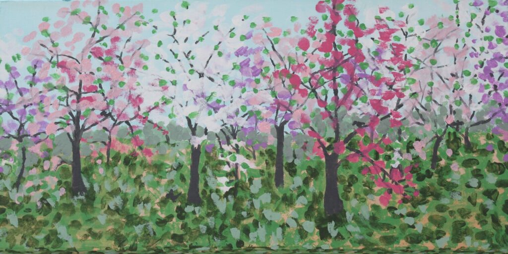 Dogwood Trees in Bloom