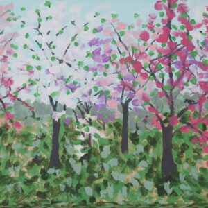 Dogwood Trees in Bloom