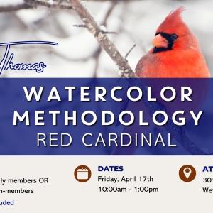 Watercolor Methodology: Red Cardinal