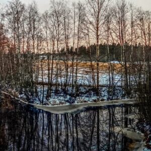 Pale Afternoon in Finland