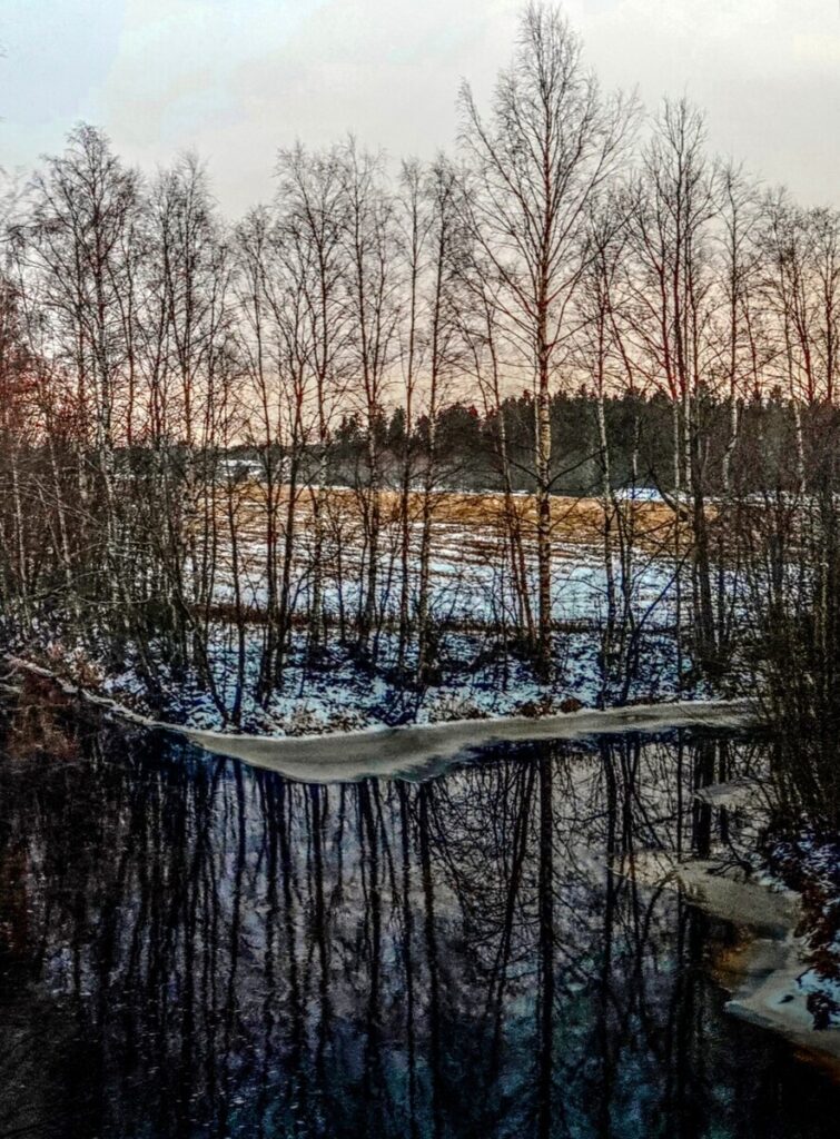 Pale Afternoon in Finland