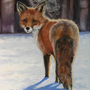 Fox in Snow