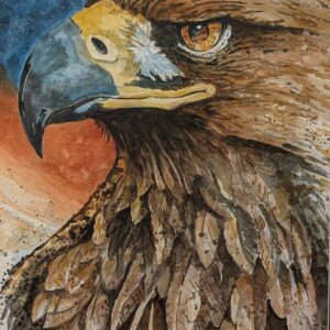 Where Eagles Fly: War Eagle