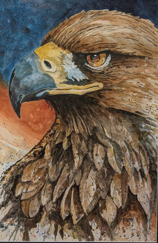 Where Eagles Fly: War Eagle
