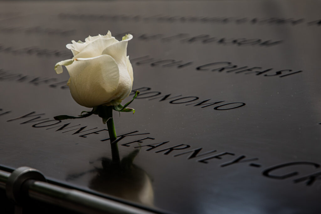 9/11 Memorial Birthday Rose