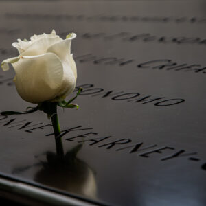 9/11 Memorial Birthday Rose