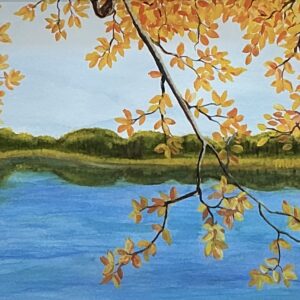 Still Waters