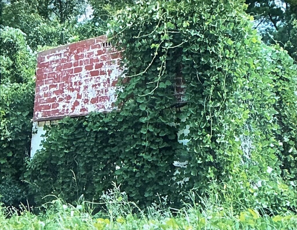 Southern Gothic