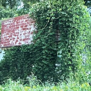 Southern Gothic
