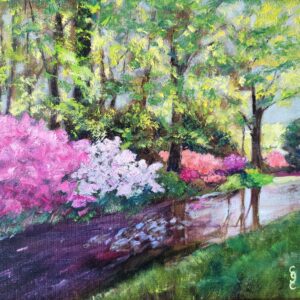 Azalea Summer