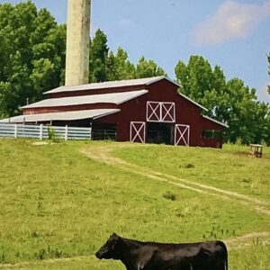 The Keeper of the Silo