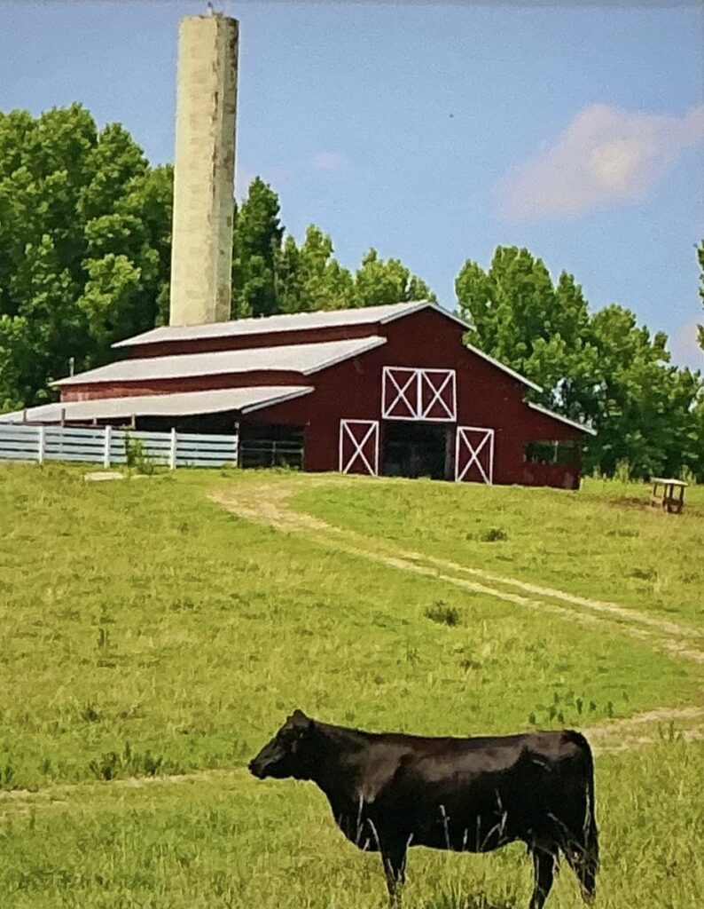 The Keeper of the Silo